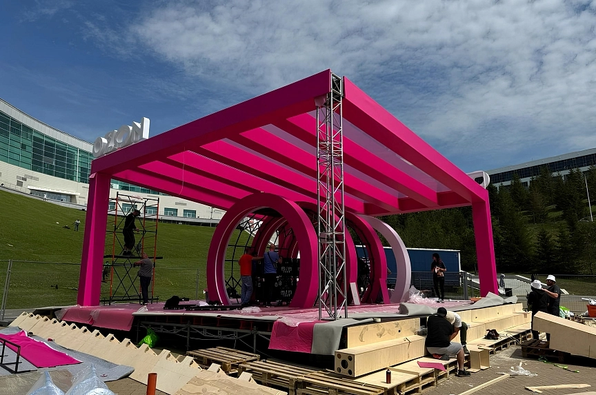 Custom pink roof marketplace Eastern Europe